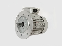 Электродвигатель АИС90S-6 0.75kW F IP55 V220/380/50